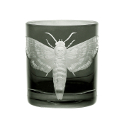 Cabinet of Curiosities Butterfly Double Old Fashioned