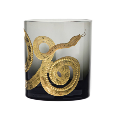Cabinet of Curiosities Snake Double Old Fashioned Gilded